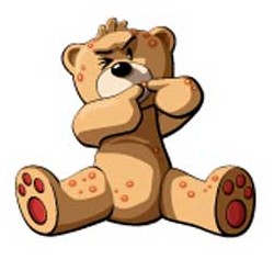 Bear photo