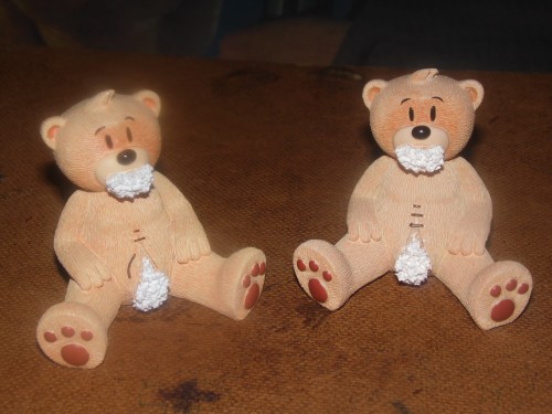 Bear photo