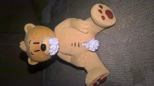 Bear photo