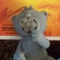Napoleon (Grey)