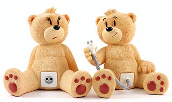 Bear photo