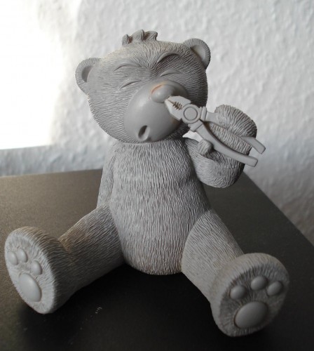 Bear photo
