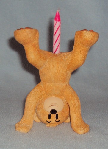Bear photo