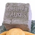 Natural Causes headshot