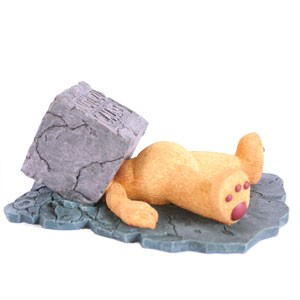 Bear photo
