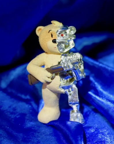 Bear photo