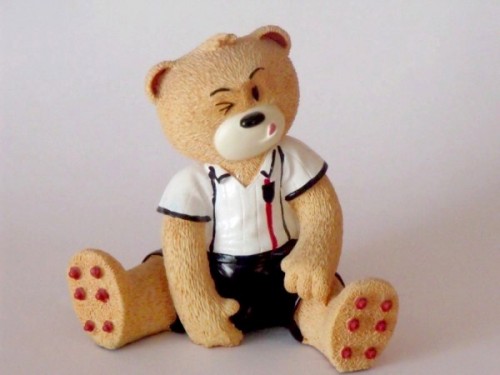Bear photo