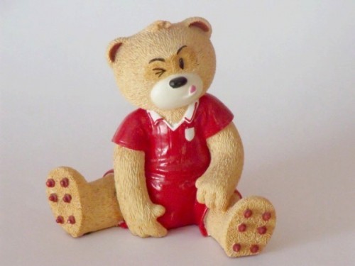 Bear photo