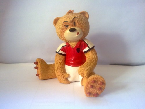 Bear photo