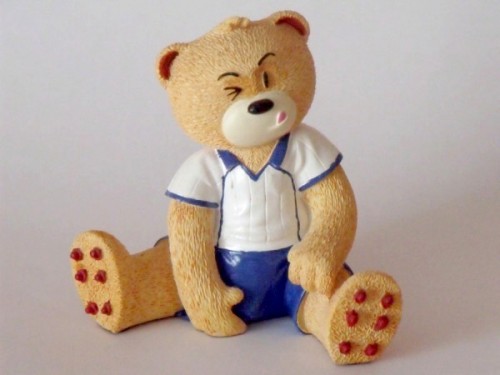 Bear photo