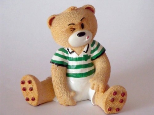 Bear photo