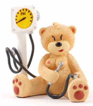 Bear photo