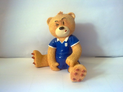 Bear photo