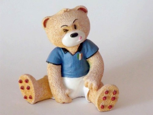 Bear photo