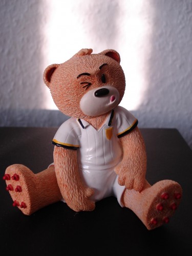 Bear photo