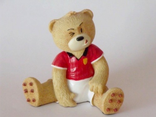 Bear photo