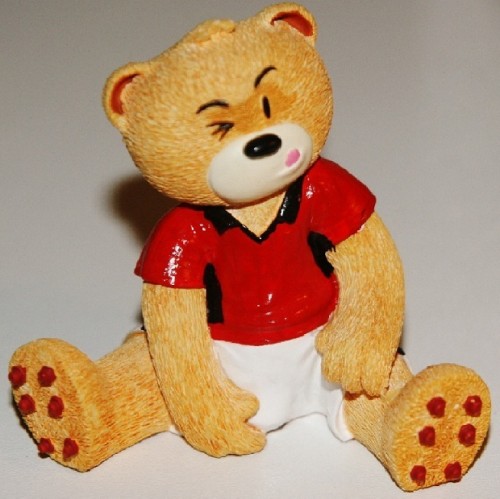 Bear photo