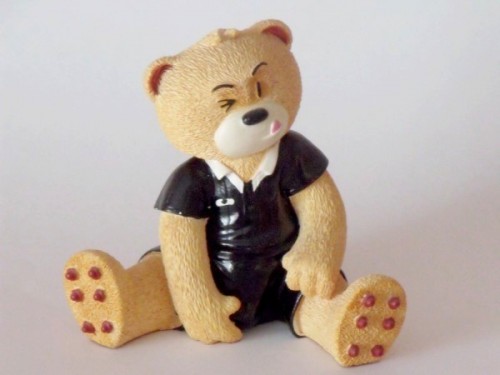 Bear photo