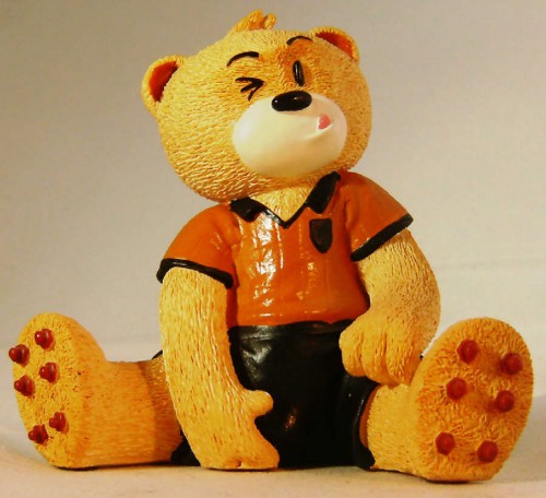 Bear photo