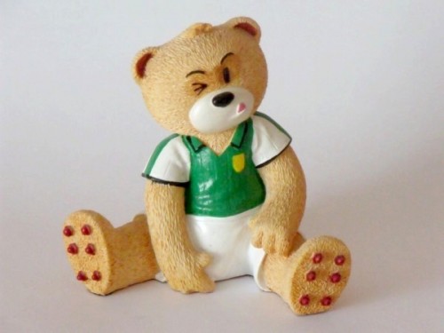 Bear photo