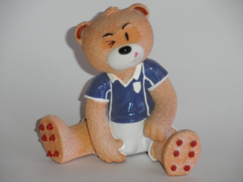 Bear photo