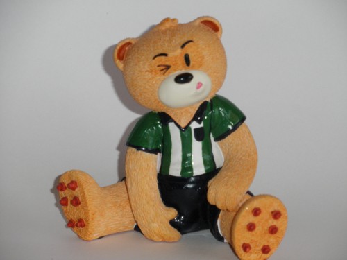 Bear photo