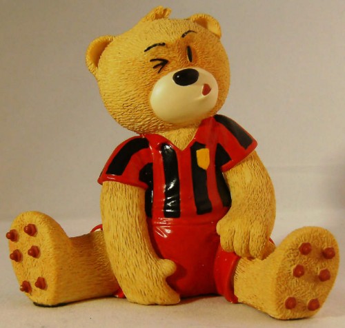 Bear photo