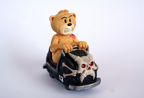 Bear photo