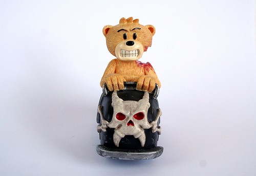 Bear photo
