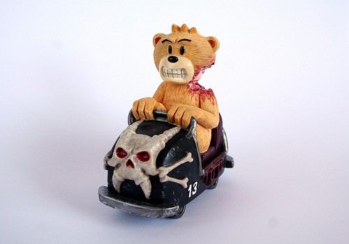 Bear photo