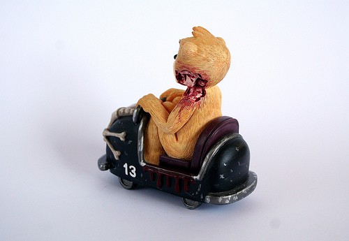 Bear photo