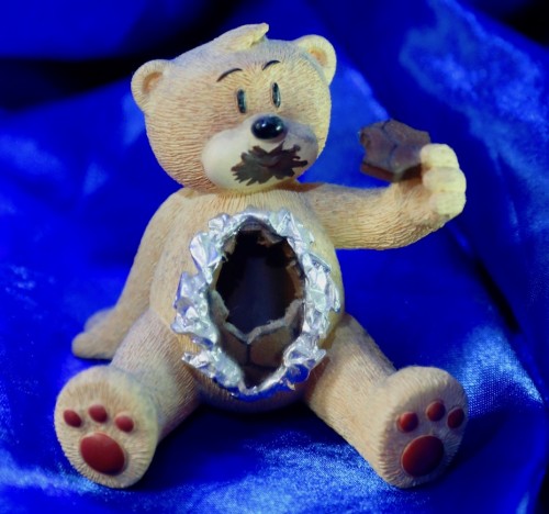 Bear photo