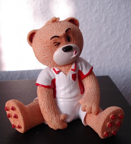 Bear photo