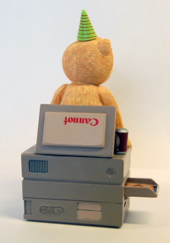 Bear photo
