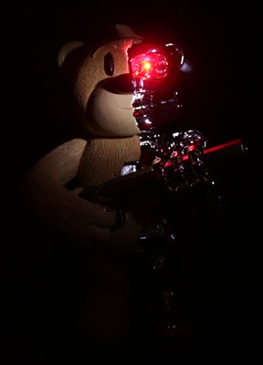 Bear photo