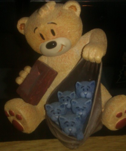 Bear photo