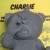 Charlie (Grey)