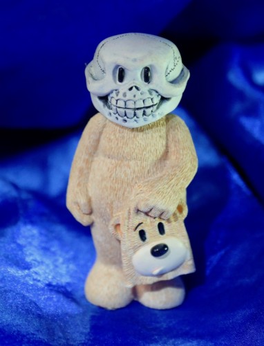 Bear photo