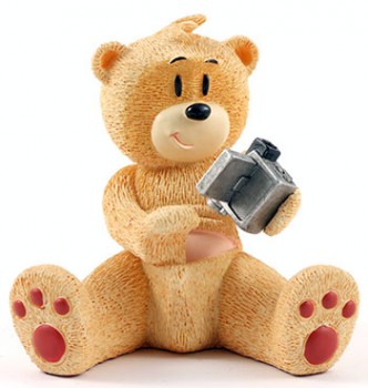 Bear photo