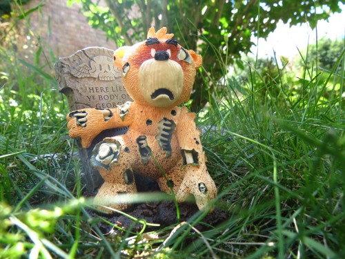 Bear photo