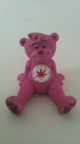 Bear photo