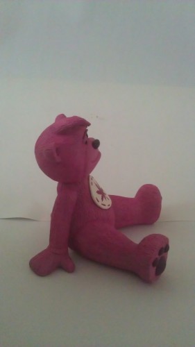 Bear photo