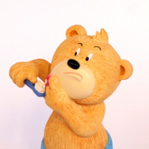 Bear photo