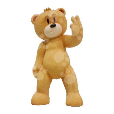 Bear photo