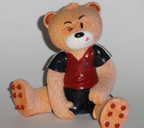 Bear photo