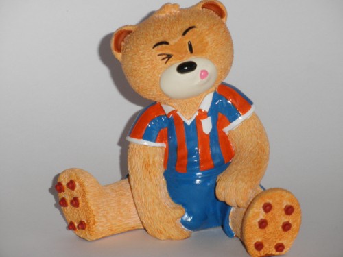 Bear photo