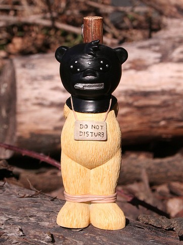 Bear photo