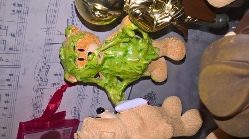Bear photo