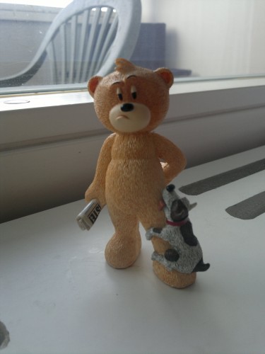 Bear photo