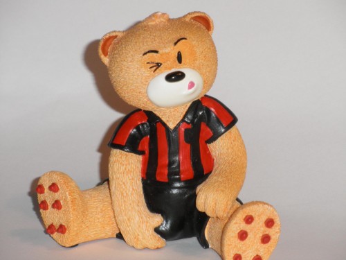 Bear photo